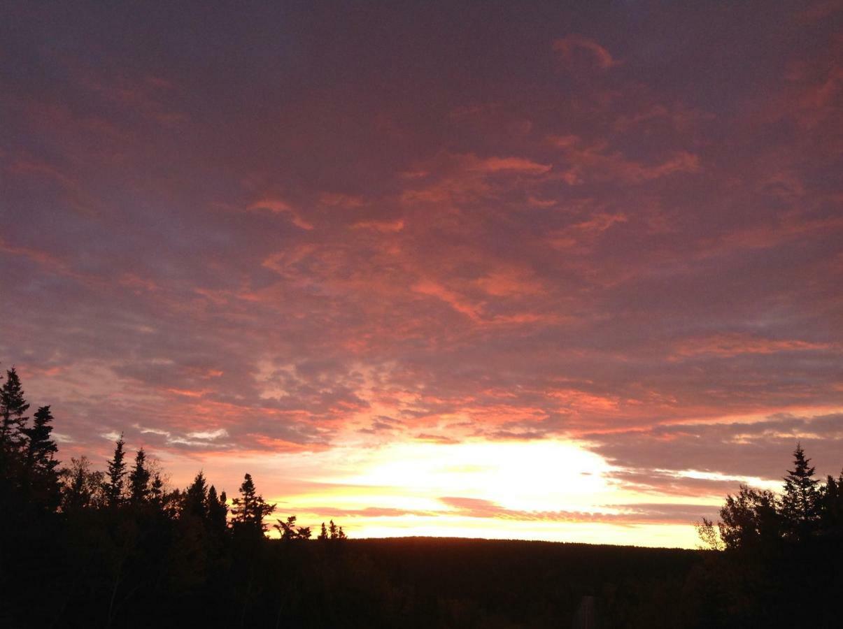 Burton'S Sunset Oasis Motel Bay Saint Lawrence Bagian luar foto